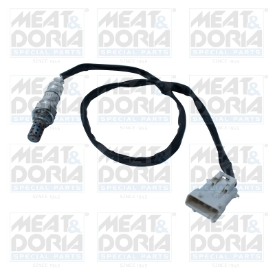 Oxygen Sensor